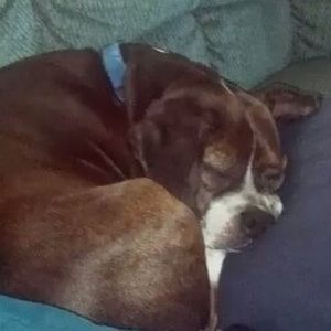 Meet your Posher, Virginia